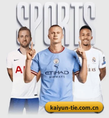 五大服务分区,信息按项目分类（kaiyun）